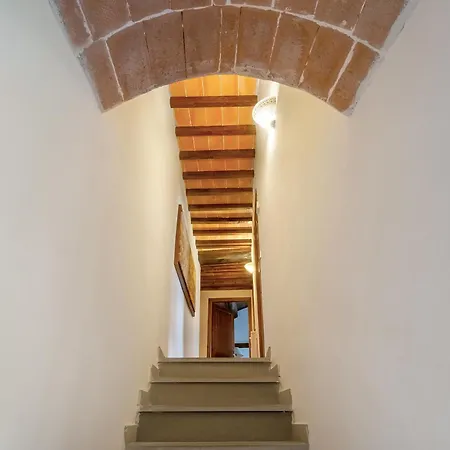 Universal Harmony - Cinciallegra