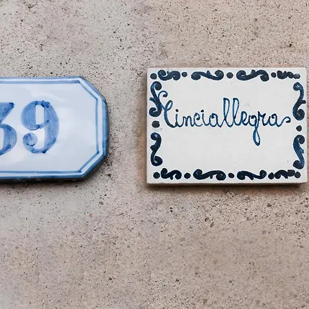 Universal Harmony - Cinciallegra