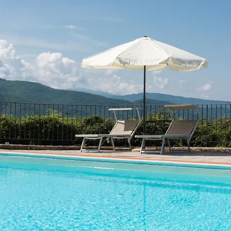 Universal Harmony - Cinciallegra * Dicomano