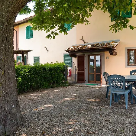 Universal Harmony - Cinciallegra Dicomano