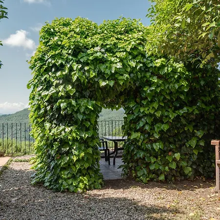 Universal Harmony - Cinciallegra Dicomano