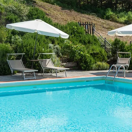 Universal Harmony - Cinciallegra Dicomano