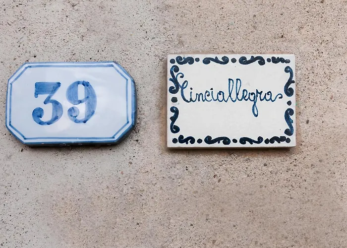 Universal Harmony - Cinciallegra